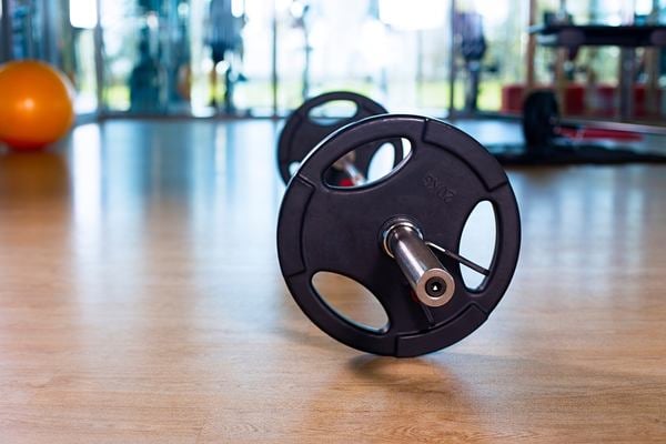 mejor tarima gimnasio