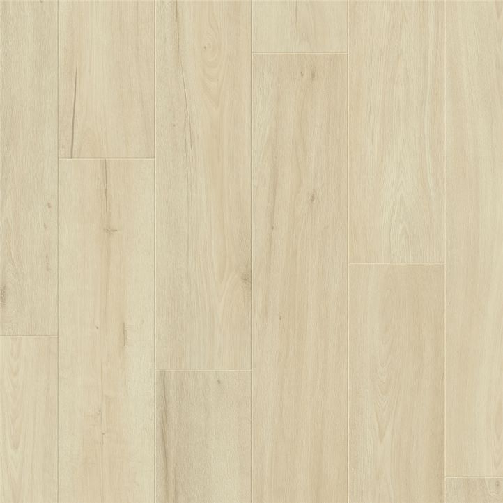 bisellatura-pro-roble-sagrada-familia-bip61126