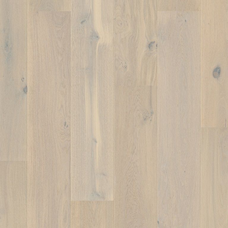 cascada-roble-bosque-invernal-extra-mate-casc3854