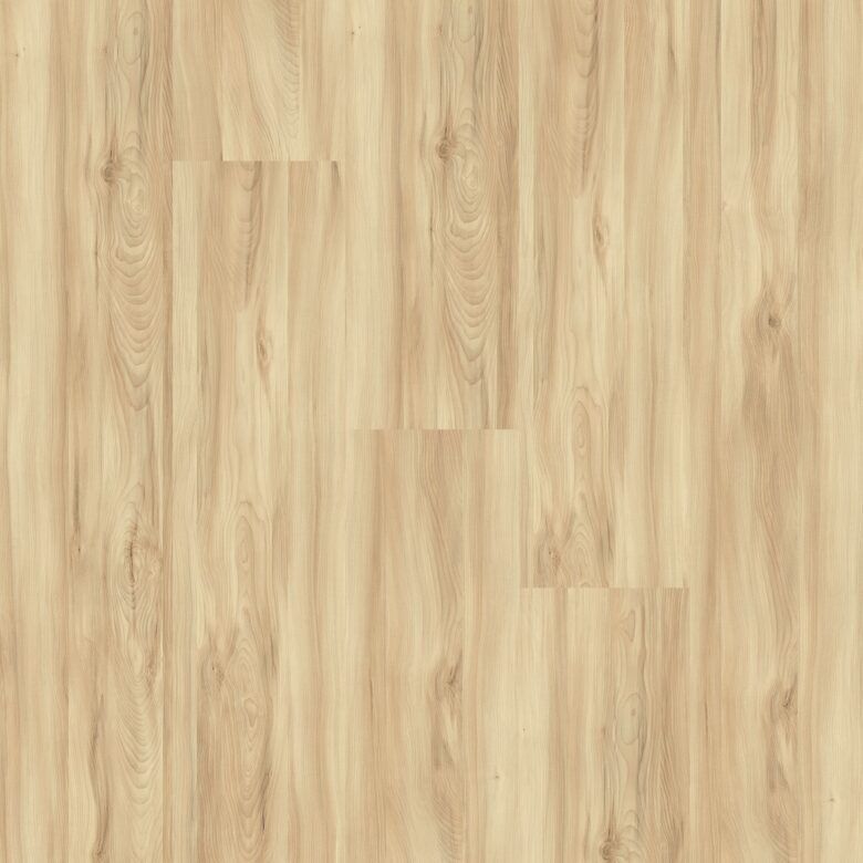 faus-eco-arce-deva