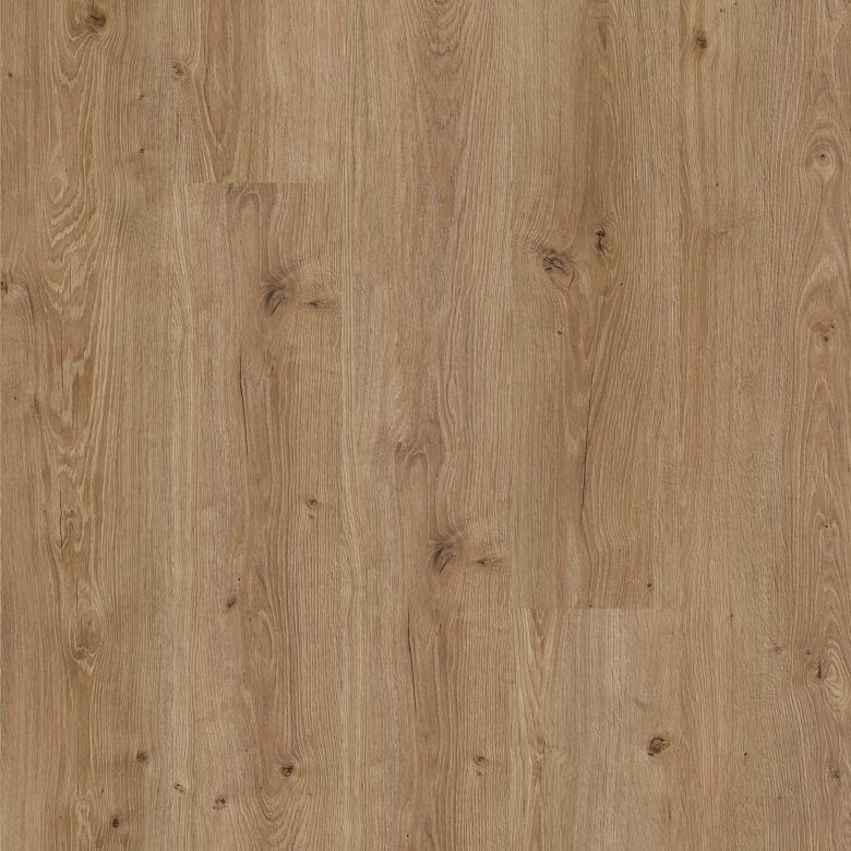 faus-eco-roble-alboran