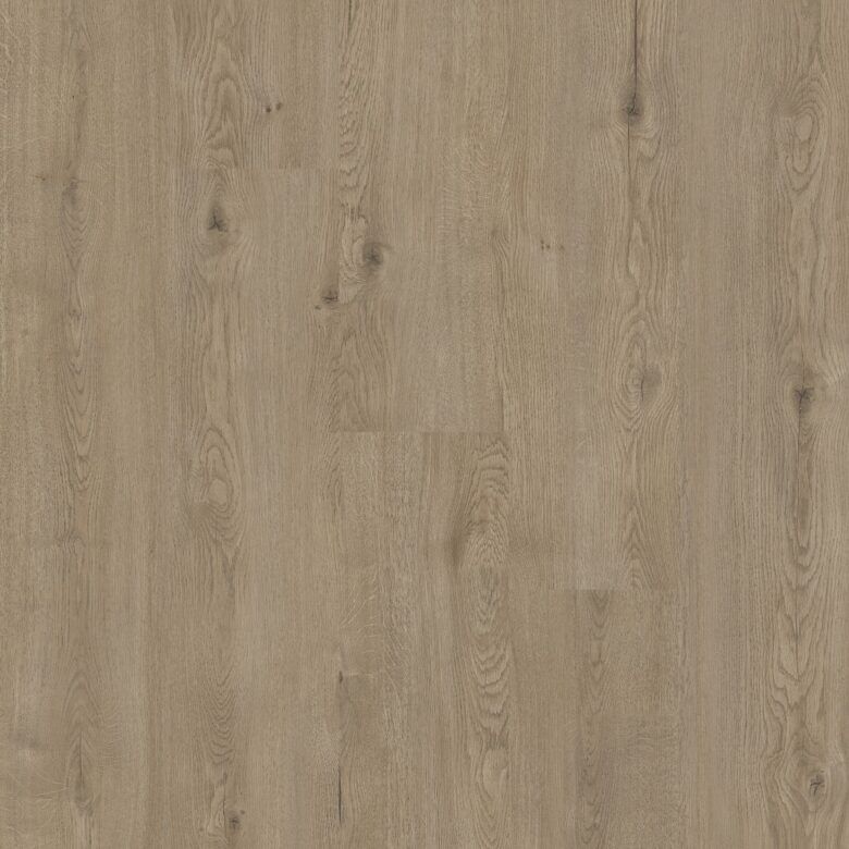 faus-eco-roble-toja
