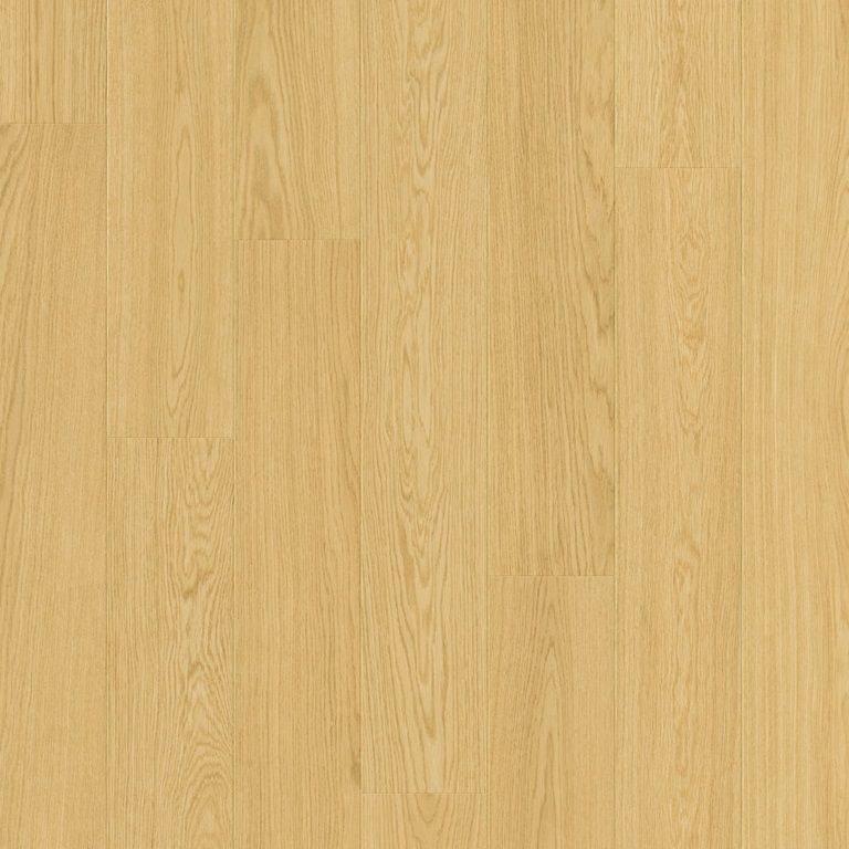 impressive-roble-duna-im8259