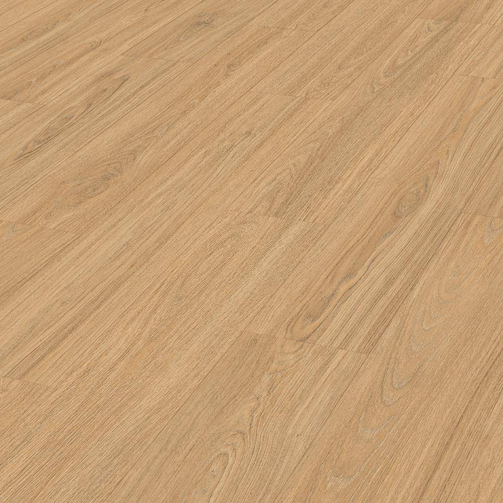 ld-250-princess-oak-arena-ref-6895